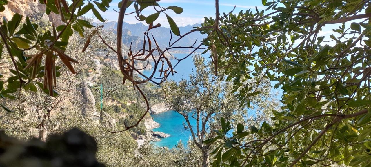 Il Fienile Villa Conca dei Marini Eksteriør bilde