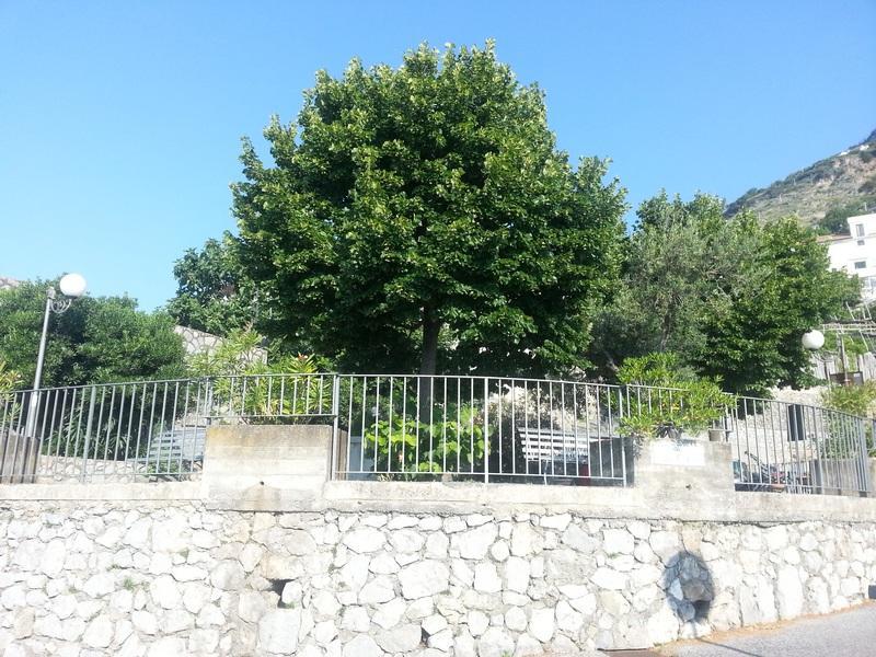 Il Fienile Villa Conca dei Marini Eksteriør bilde